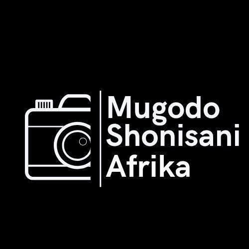 Perspective Report | Mugodo Shonisani Afrika